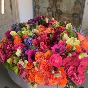 Meet your Posher, Dinah